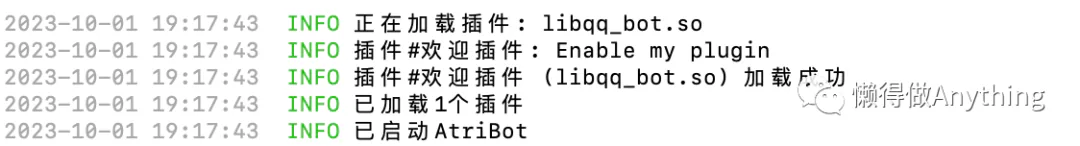 终端日志显示插件已加载并成功运行