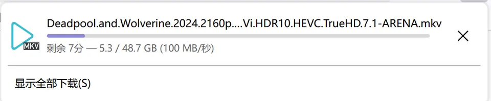 下载速度能到 100 Mib/s